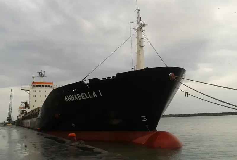 ANNABELLA I Container Ship IMO 8919788 photo 2