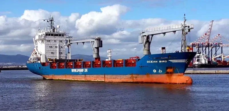 MERIDIAN DOS General Cargo IMO 8919817 photo 3