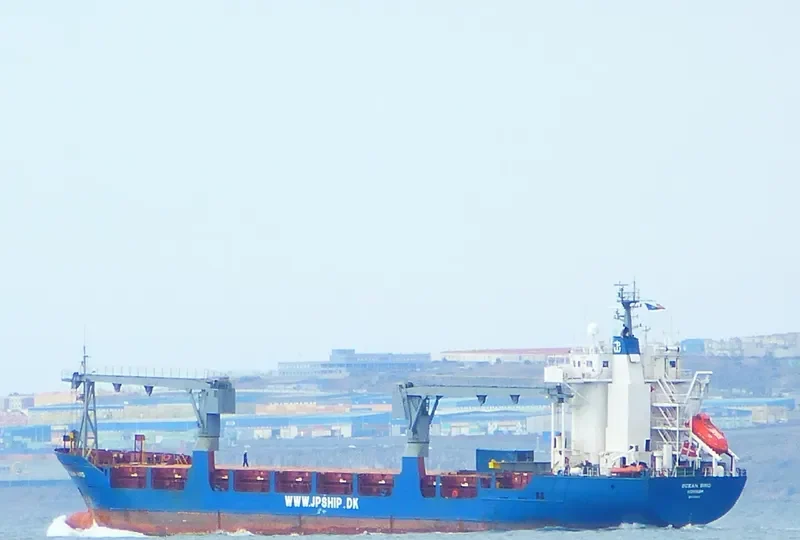 MERIDIAN DOS General Cargo IMO 8919817 photo 4