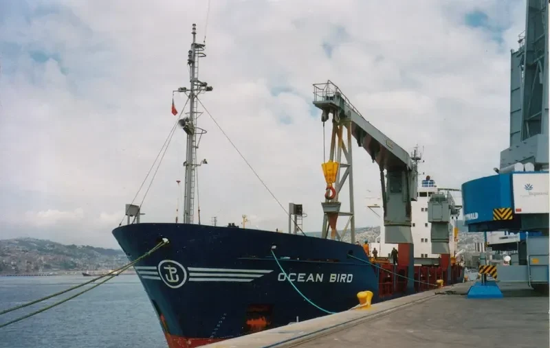 MERIDIAN DOS General Cargo IMO 8919817 photo 7