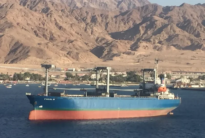FAISAL M General Cargo IMO 8921494