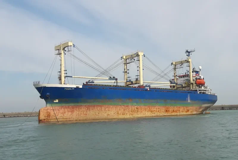 FAISAL M General Cargo IMO 8921494 photo 4