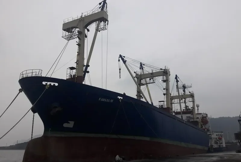 FAISAL M General Cargo IMO 8921494 photo 7