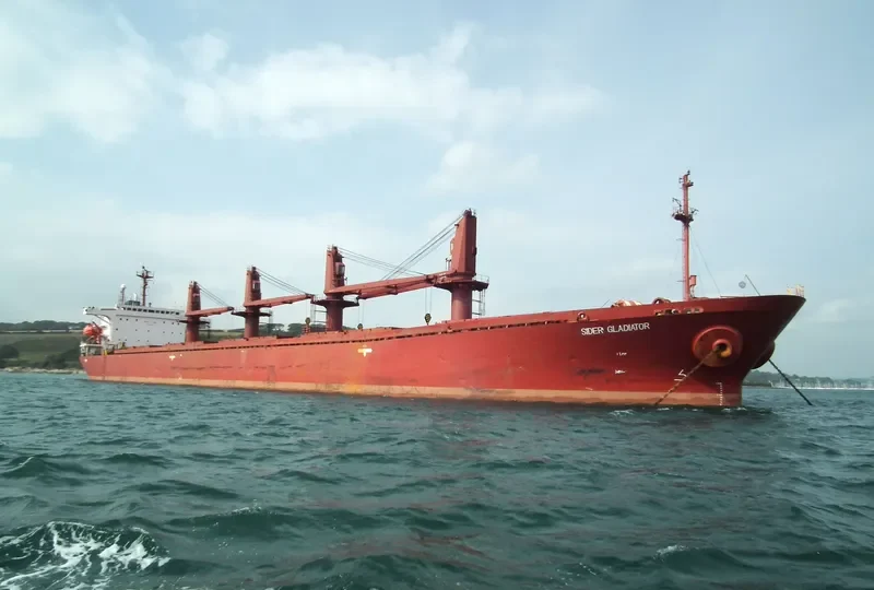 SIDER GLADIATOR Bulk Carrier IMO 8921834 photo 2