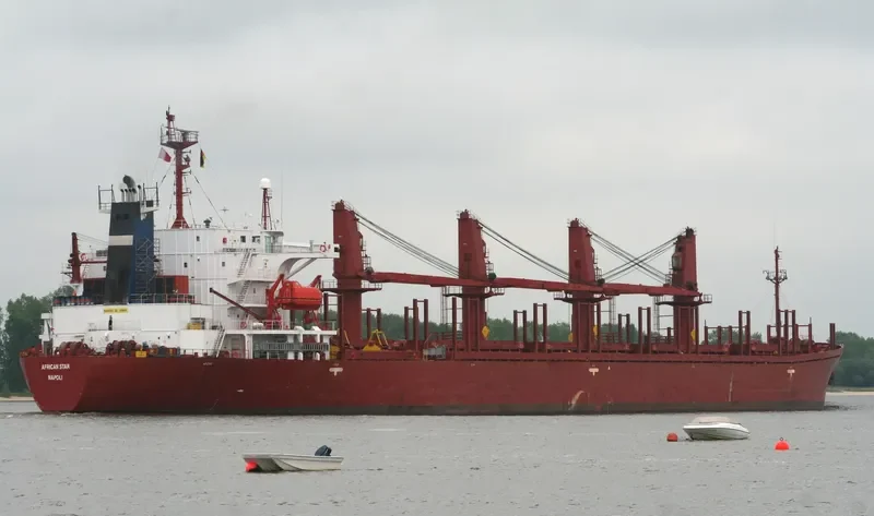 SIDER GLADIATOR Bulk Carrier IMO 8921834 photo 4
