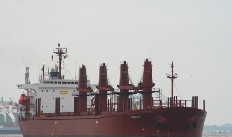 SIDER GLADIATOR Bulk Carrier IMO 8921834 photo 5