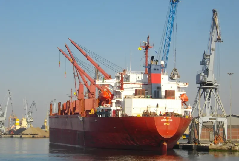 SIDER GLADIATOR Bulk Carrier IMO 8921834 photo 6