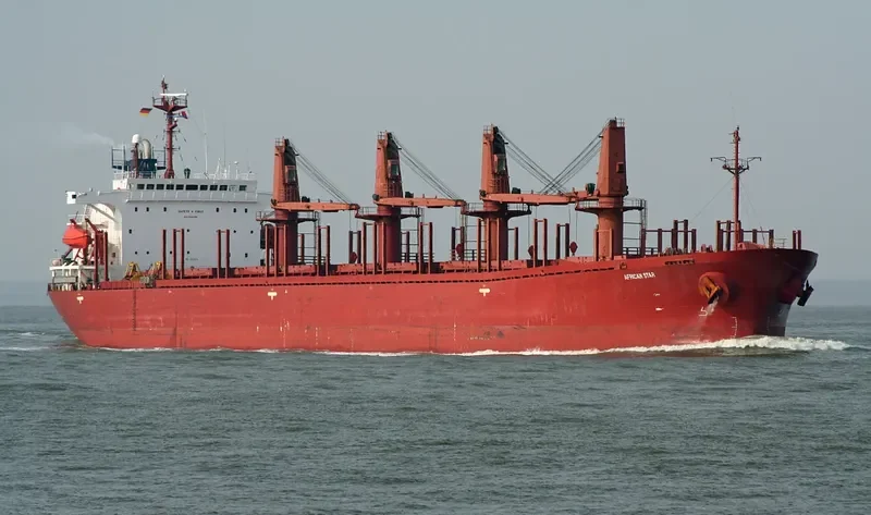 SIDER GLADIATOR Bulk Carrier IMO 8921834 photo 7