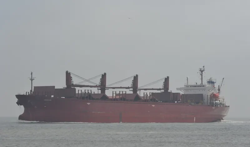 SIDER GLADIATOR Bulk Carrier IMO 8921834 photo 8