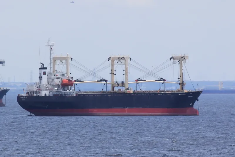 RAKAN 5 General Cargo IMO 8922199 photo 5