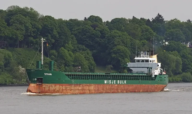 STRAMI General Cargo IMO 8922254