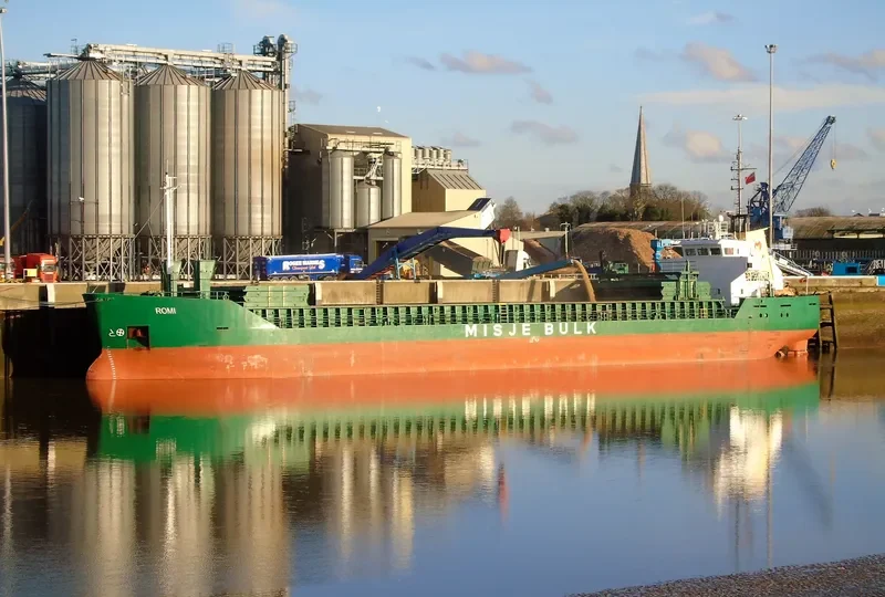 ROMI General Cargo IMO 8922266 photo 8