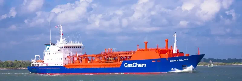 GAS DOLLART General Cargo IMO 8922292 photo 3