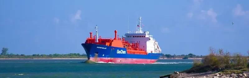 GAS DOLLART General Cargo IMO 8922292 photo 4
