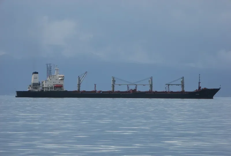 LINDOS Bulk Carrier IMO 8922383 photo 7