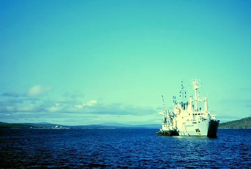 DVINSKIY ZALIV General Cargo IMO 8922486 photo 3