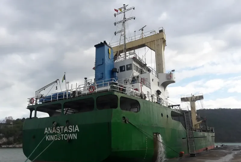 ANASTASIA General Cargo IMO 8926121
