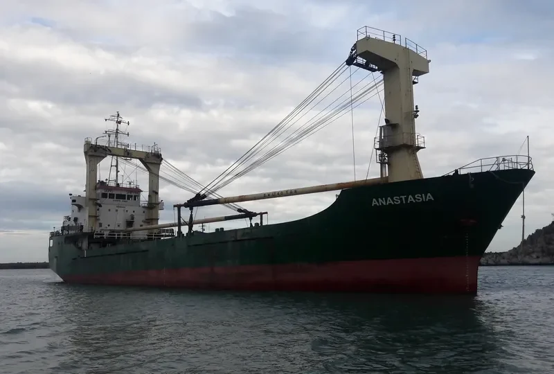 ANASTASIA General Cargo IMO 8926121 photo 2