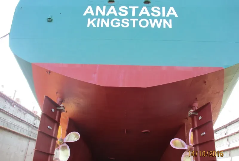 ANASTASIA General Cargo IMO 8926121 photo 5