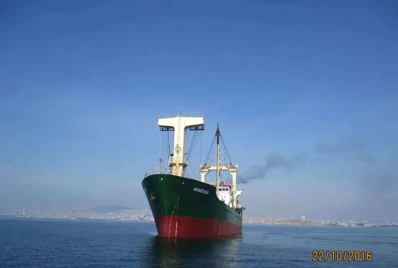 ANASTASIA General Cargo IMO 8926121 photo 7