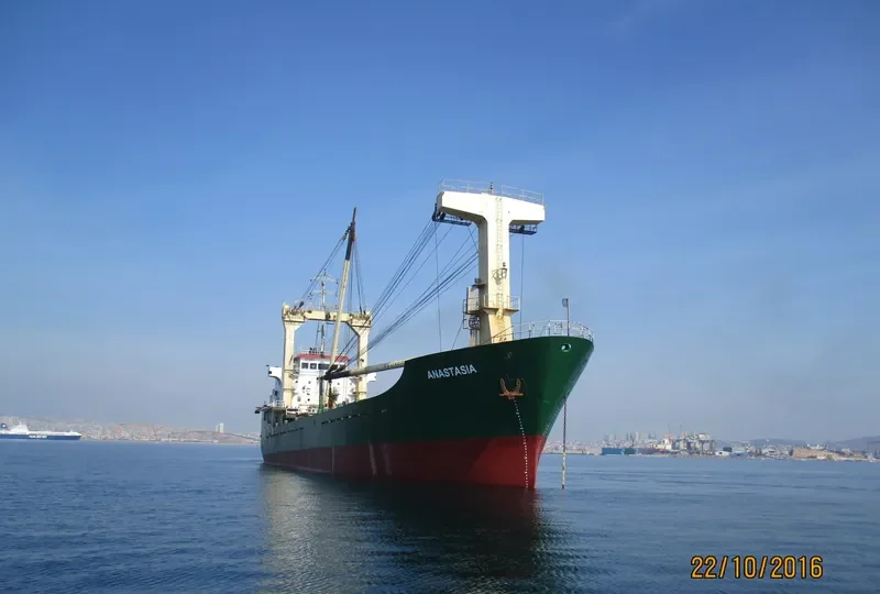 ANASTASIA General Cargo IMO 8926121 photo 8