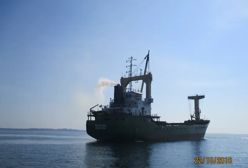 ANASTASIA General Cargo IMO 8926121 photo 9