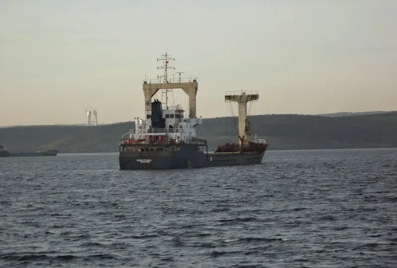 ANASTASIA General Cargo IMO 8926121 photo 10