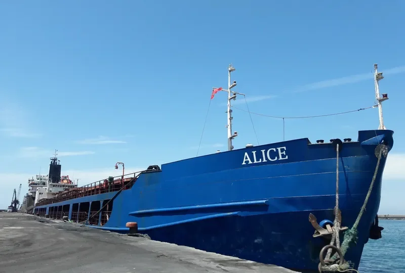 ALICE General Cargo IMO 8927979 photo 5