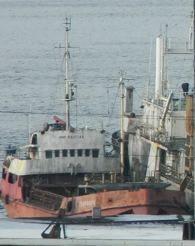 TERIBERKA General Cargo IMO 8931748 photo 2
