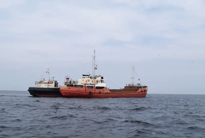 TERIBERKA General Cargo IMO 8931748 photo 3