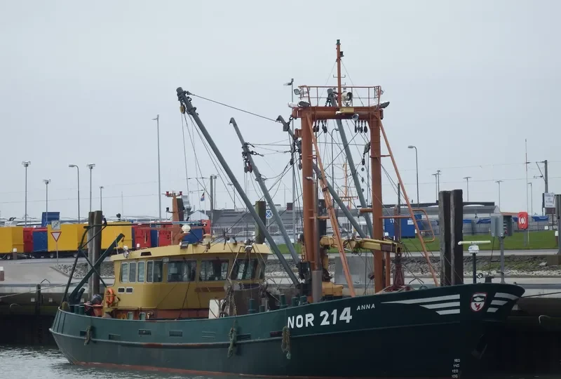 ANNA General Cargo IMO 8933576 photo 2