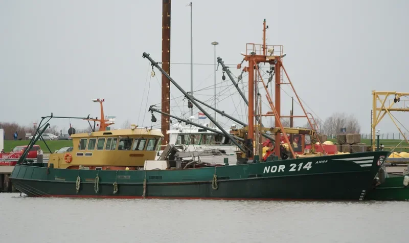 ANNA General Cargo IMO 8933576 photo 4