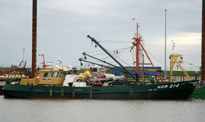ANNA General Cargo IMO 8933576 photo 5