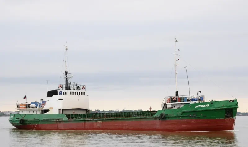 ONEZHSKAYA General Cargo IMO 8934520 photo 2