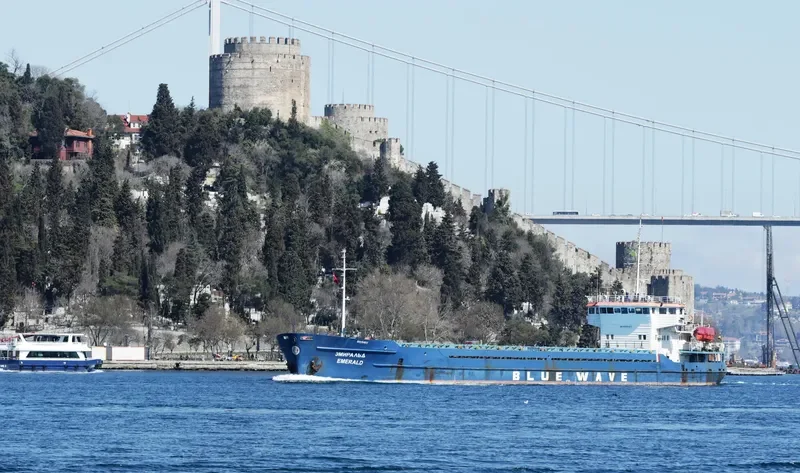 EMERALD General Cargo IMO 8935407 photo 2