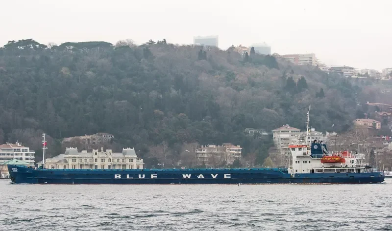 DIAMOND General Cargo IMO 8935457 photo 5