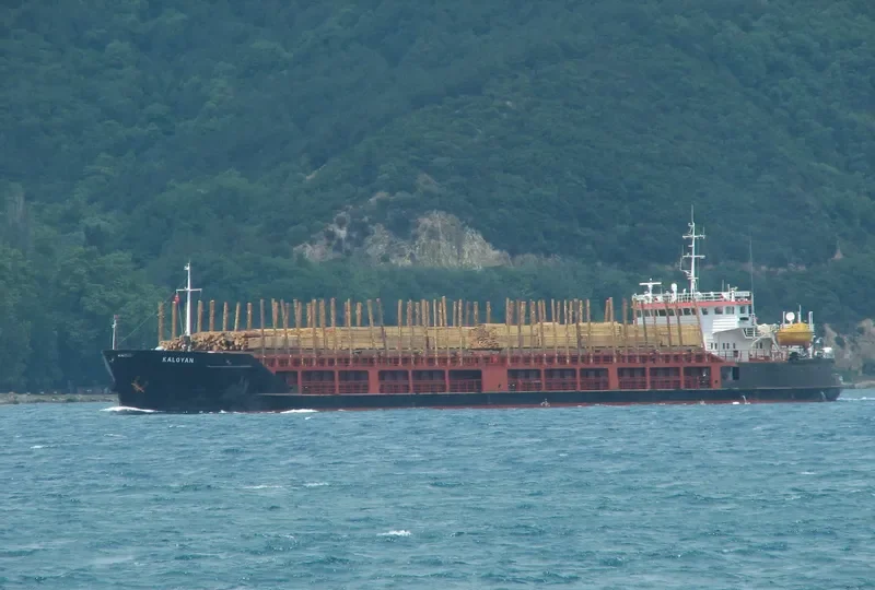 OMSKIY 6 General Cargo IMO 8937687 photo 9