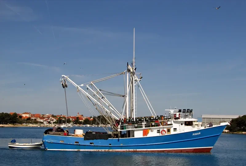 RIBAR General Cargo IMO 8939403 photo 2