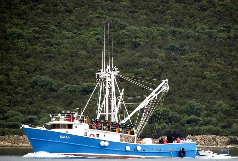RIBAR General Cargo IMO 8939403 photo 5