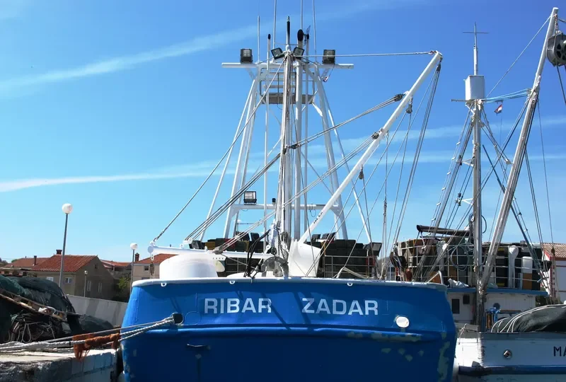 RIBAR General Cargo IMO 8939403 photo 6