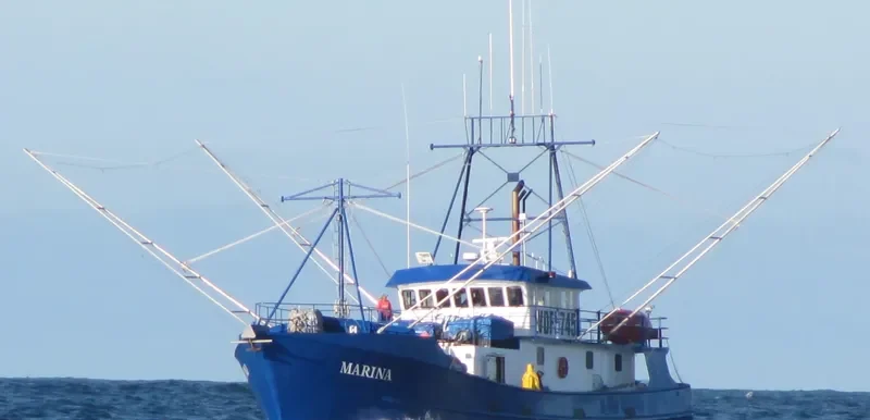 MARINA General Cargo IMO 8939893