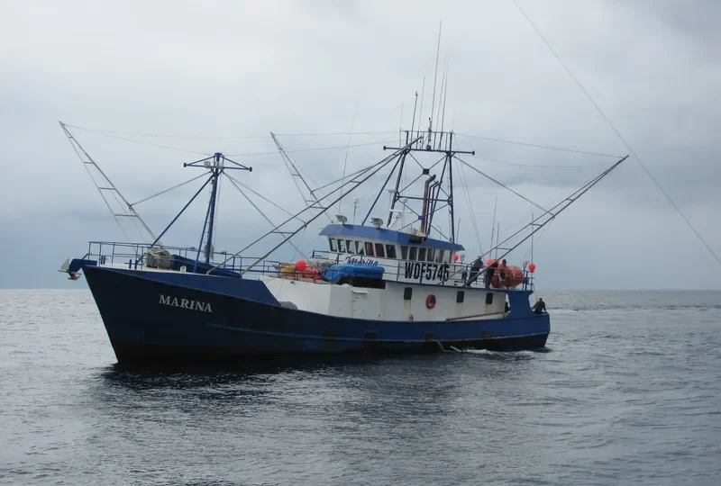 MARINA General Cargo IMO 8939893 photo 2
