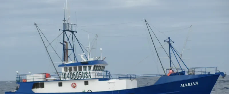 MARINA General Cargo IMO 8939893 photo 3