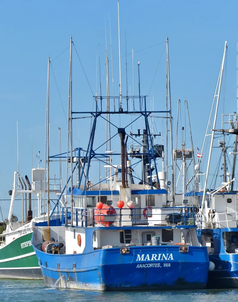 MARINA General Cargo IMO 8939893 photo 4
