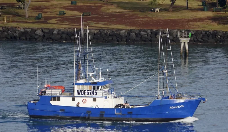 MARINA General Cargo IMO 8939893 photo 6