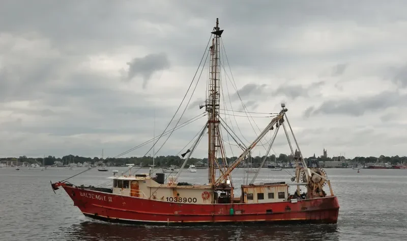 BALD EAGLE II General Cargo IMO 8940024 photo 4
