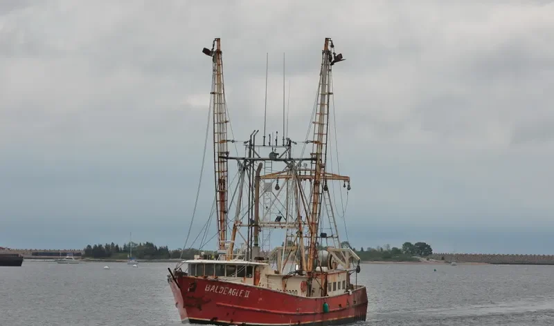 BALD EAGLE II General Cargo IMO 8940024 photo 5