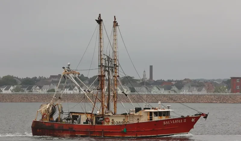 BALD EAGLE II General Cargo IMO 8940024 photo 6