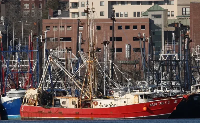 BALD EAGLE II General Cargo IMO 8940024 photo 7