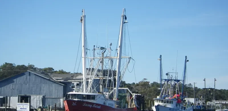 SASSY SARAH General Cargo IMO 8941092